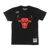 T-shirt Chicago Bulls Blank Traditional
