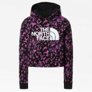 Girl hoodie The North Face Court Drew Peak