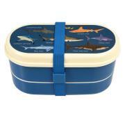Lunch box for children Rex London Sharks
