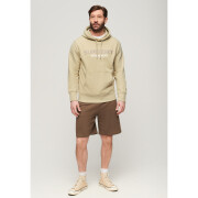 Hooded sweatshirt Superdry Sportswear
